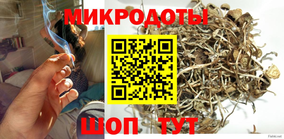 Псилоцибиновые грибы Psilocybe  Вход с VPN  Псилоцибиновые грибы MAGIC MUSHROOMS  Курчатов 